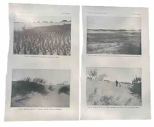 1898 Cape Cod Photograph Antique Print Set Of 2, 5.5” X 9” Each