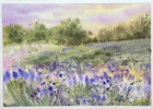 Original Abstract Watercolor Painting Nature Landscape Flowers 5x7 inches