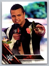 2016 Topps WWE Epico #119