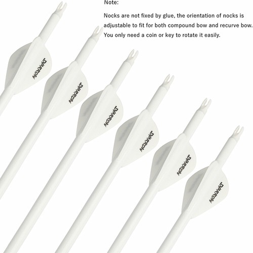 32" Pure Carbon Arrows SP300-800 ID6.2mm Archery Recurve Bow Fields Tips Hunting - Picture 4 of 21