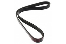 MAPCO Keilrippenriemen 261019E für FORD MAZDA FIESTA MAX CB1 CCN JK DY FUSION 6