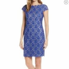 Eliza J Blue Cap Sleeve Blue Lace Sheath Dress Size 14 NWT