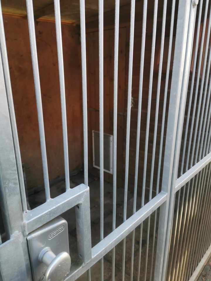 outdoor large dog kennels eBay