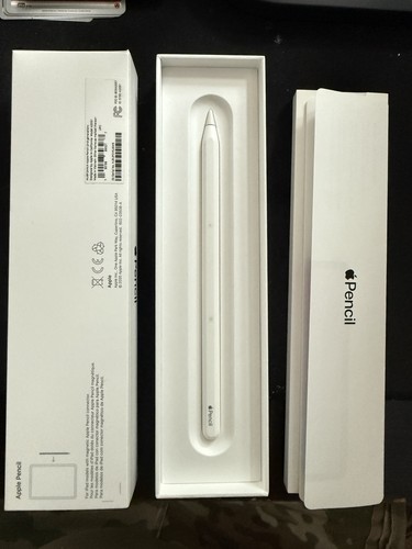 Genuine Apple Pencil A2051 2nd Gen Stylus Pen ipad mini air pro - 第 1/1 張圖片