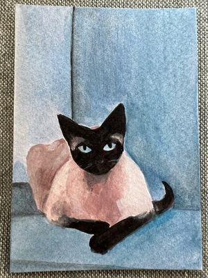 #ad #ad ACEO ORIGINAL Siamese Cat Artist Dulshan Jeewantha 2024 Sri Lanka Acrylic $20.00