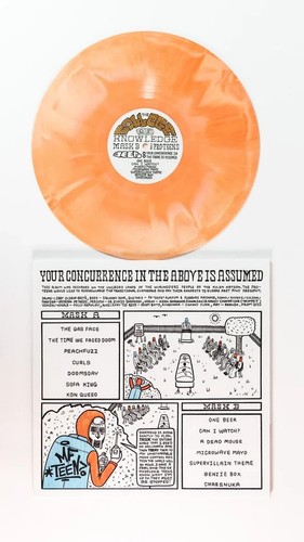 PRO-TEENS MF-TEEN Vinyl LP Your Concurrence In The Above Is Assumed LE /100 New - Imagen 4 de 4