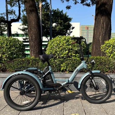 20 Zoll Elektro Dreirad mit Korb 3 Räder E-Bike 250W 48V 18Ah FAFREES F20 MATE