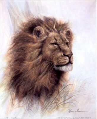 Lion King of  the Jungle Lion Paper Tole 3D Decoupage Craft Kit size 8x10 8-8028