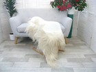 GENUINE GREEK GIANT GOAT RUG LONG HAIR RARE SKIN HIDE FLOOR CHAIR COVER Go420