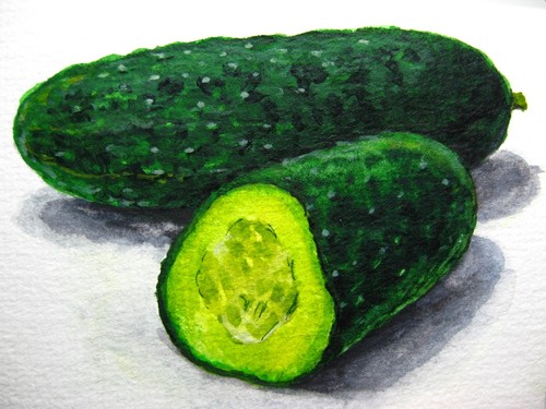 Watercolor Painting Cucumber Vegetables ACEO Art