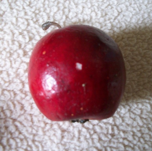 Vintage Folk Art Farmhouse Rustic Mini Apples in Country Blue Wood Caddy - Picture 6 of 8