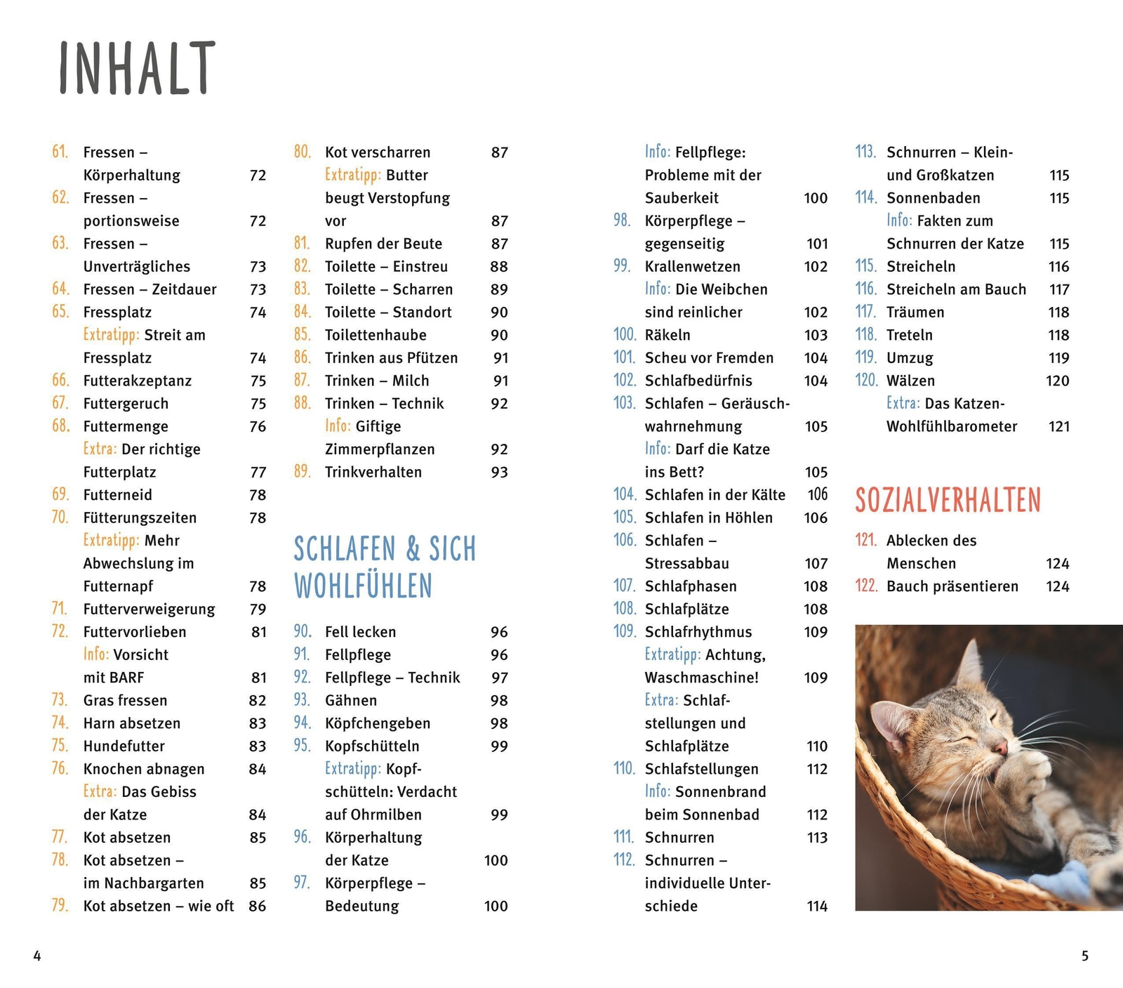 Thumbnail - 300 Fragen Zum Katzenverhalten Experten-tipps Aus Der Praxis Helga