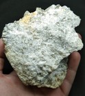 Foto 10 di 10