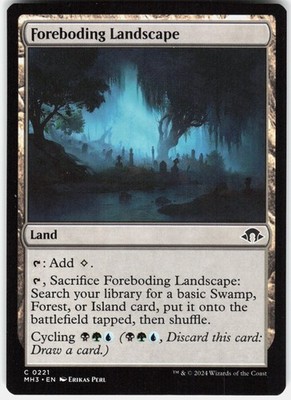 Foreboding Landscape C Modern Horizons 3 221 LP