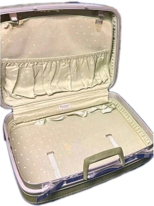 2 Samsonite 60s Fashionaire Daisy Floral Green Carpet Suitcase