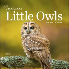 Workman Publishing,  Audubon Little Owls 2026 Mini Wall Calendar, 7'' X 7'', 12-