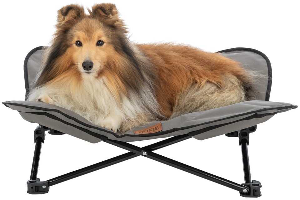 Camping Cot for Dogs, Elevated Dog Bed, Folding Padded Pet Bed, Raised Travel... eBay