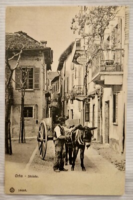 ORTA POSTCARD - Road - Mule with wagon - Untraveled