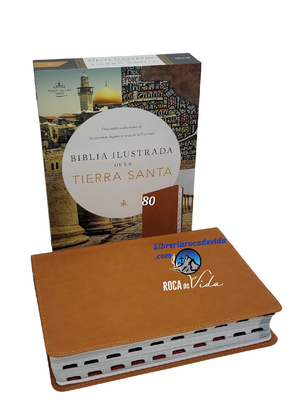 RVR 1960 Ilustrada Tierra Santa Marrón 4 s l1600