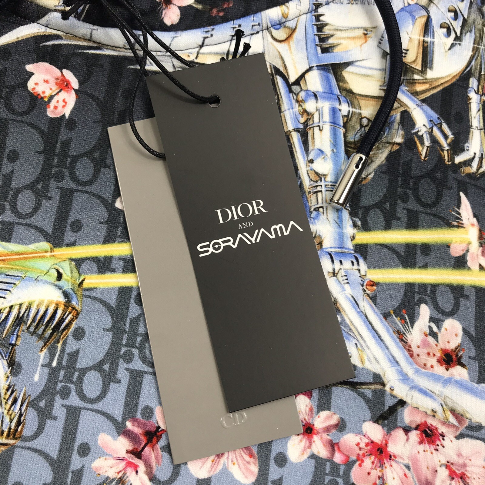dior dinosaur