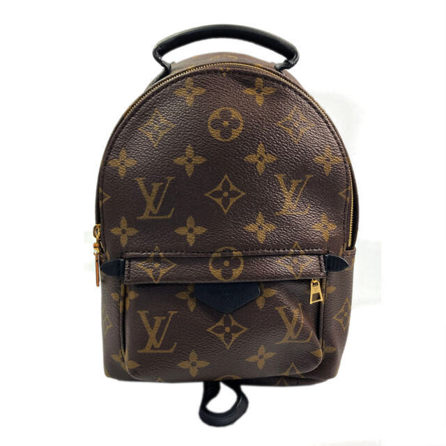 Louis Vuitton Palm Springs Backpack 