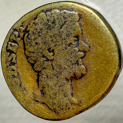 Septimius Severus Sestertius Genuine Ancient Roman Coin 193AD-211AD Nice Detail