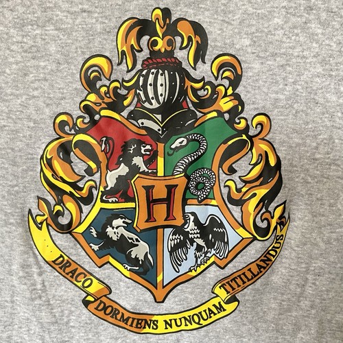 Harry Potter Pajama Set Boys Wizarding World Hogwarts Crest 2 pc Size 12 Slim - Picture 4 of 9