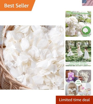 3000+Pcs Real Ivory White Dried Hydrangea Flower Petals - 100% Natural Creamy...