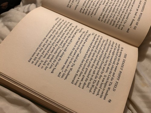 The Original Oz Book The Wizard of Oz by L Frank Baum 1903 Illustrated Classic - Picture 8 of 10