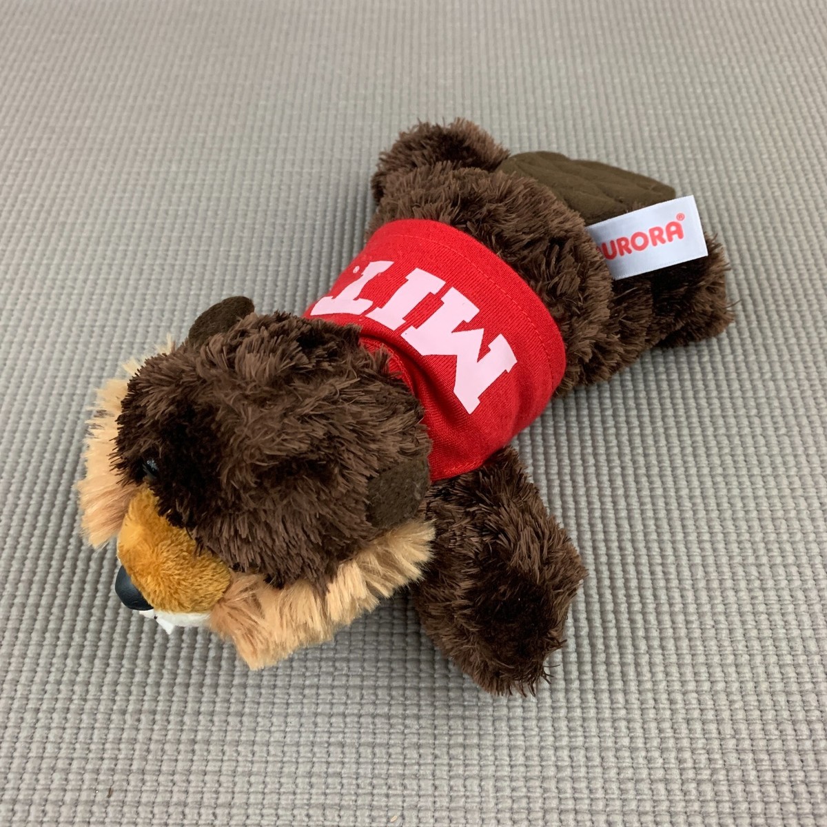 MASSACHUSETTS INSTITUTE OF TECHNOLOGY MASCOT visual data 3