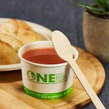 Karat Earth Wooden Compostable Heavy Weight Spoon - 1,000 ct, KE-U8003