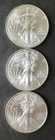 Lot of Three 2013 $1 American Silver Eagle Dollars
