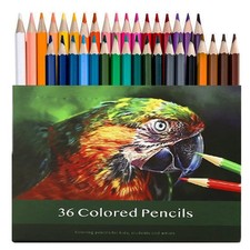 36 Colored Pencils   Quality Coloring Pencils 1 Count Pack of 36 , 36 Color