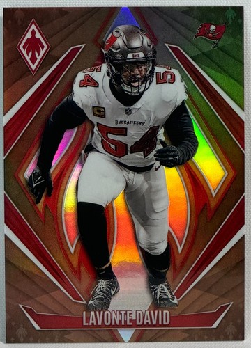 2024 Panini Phoenix Football - Lavonte David #103 Bronze Parallel 65/75