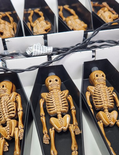 2007 CVS Halloween Alley Skeleton in Coffin 10 Lights 10ft Strand Indoor Outdoor - 第 3/13 張圖片