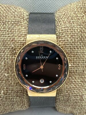 Skagen SKW2120 Women\'s Gray Stainless Steel Mesh Analog Dial Quartz Watch JNA916 Skagen Women main image 3