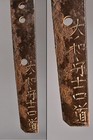 Foto 7 di 16