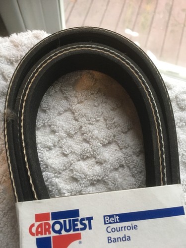 New Serpentine Belt Carquest/DAYCO Quiet Design 5060875 - Picture 3 of 4