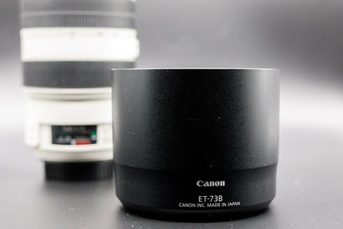 EF 70-300mm f/4-5.6L IS USM - White L Series. Used, excellent condition - Afbeelding 8 van 11