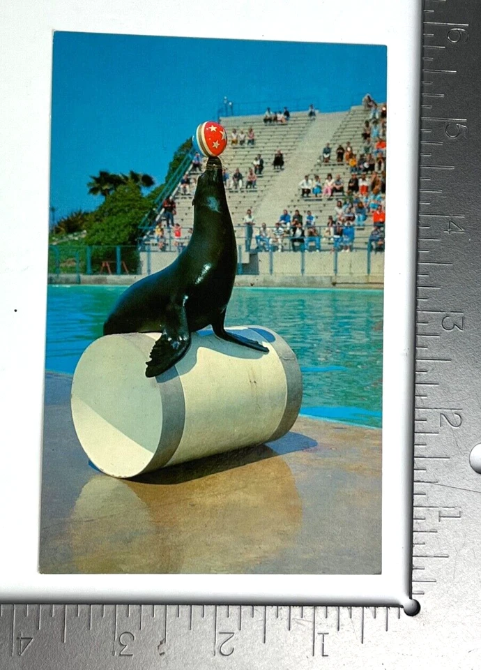 Postal de colección sello sin publicar Circus Time Marineland of the Pacific California Foto 3 de 3