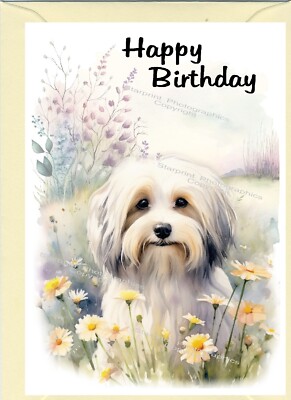 Havanese Dog Birthday Card blank inside (4''x 6'') - by Starprint
