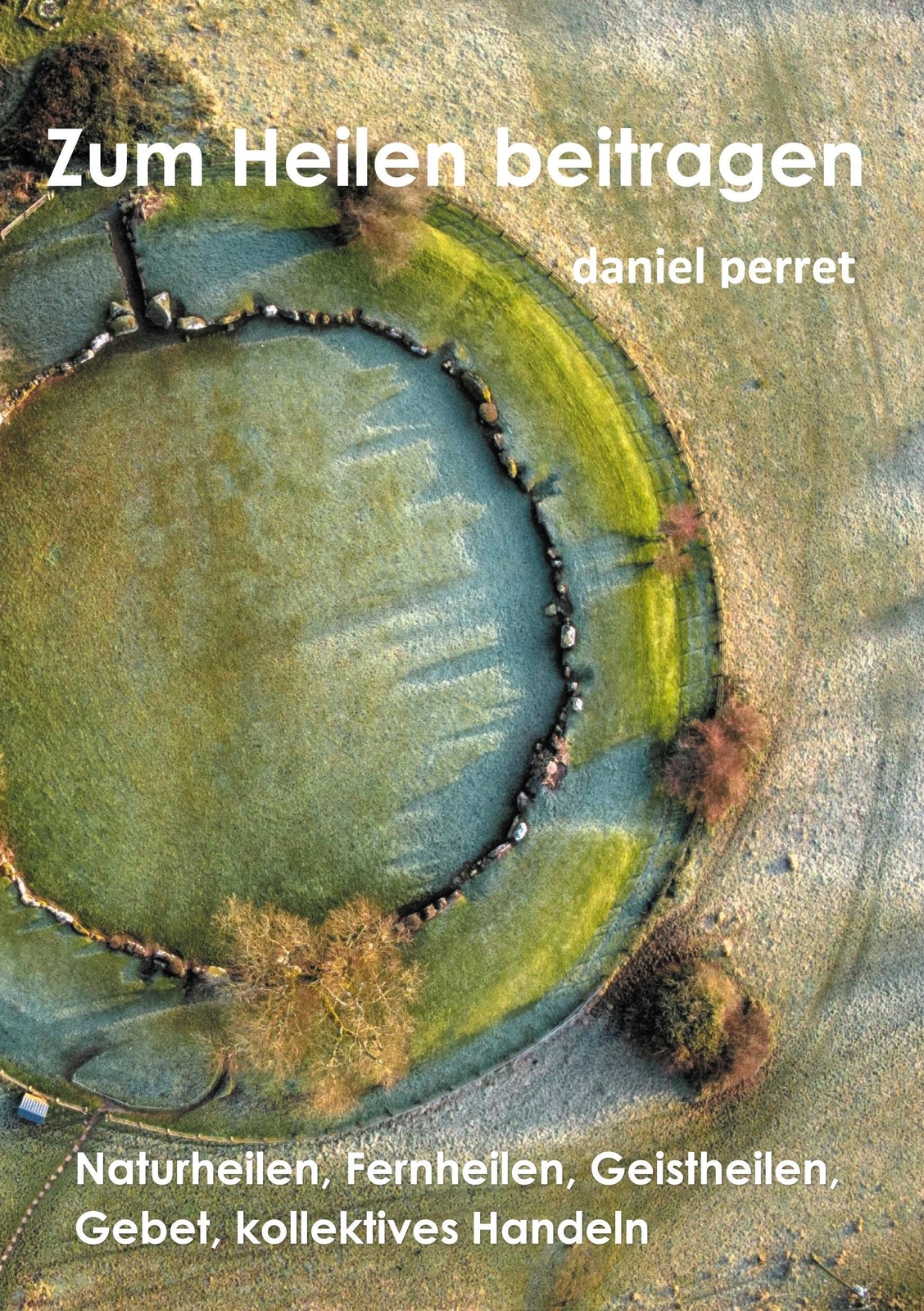 Thumbnail - Zur Heilung Beitragen Daniel Perret Taschenbuch Paperback 108 S.