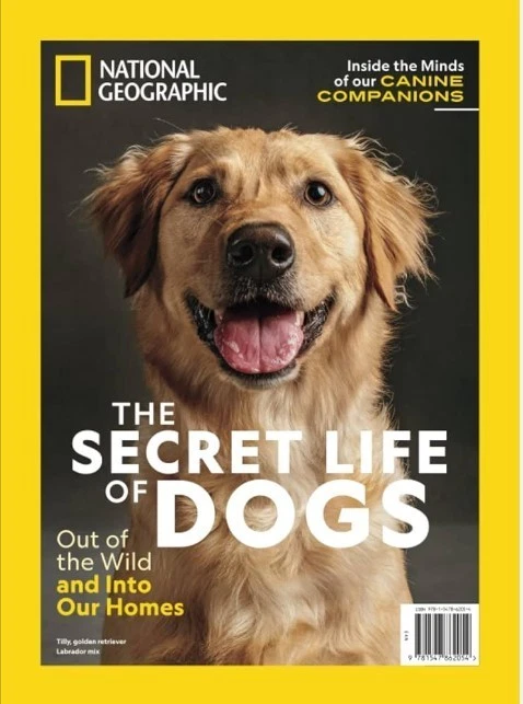 National Geographic Magazine Issue 69 Special publication/ SECRET LIFE OF DOGS - Image 3 of 3