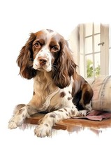 ENGLISH SPRINGER SPANIEL DOG GREETING  CARD CHARMING DOG AT WINDOW NOTE CARD