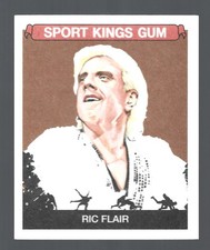 Mini 2023 Sportkings Volume 4 #141 Ric Flair HOF Wrestling WWE NWA Card Retail