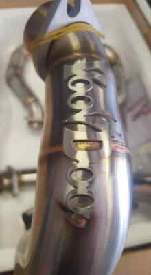 Collcta ザトウクジラ wyw801m コレクタ ザトウクジラ ぬいぐるみ くじら COLLECTA : HONDA