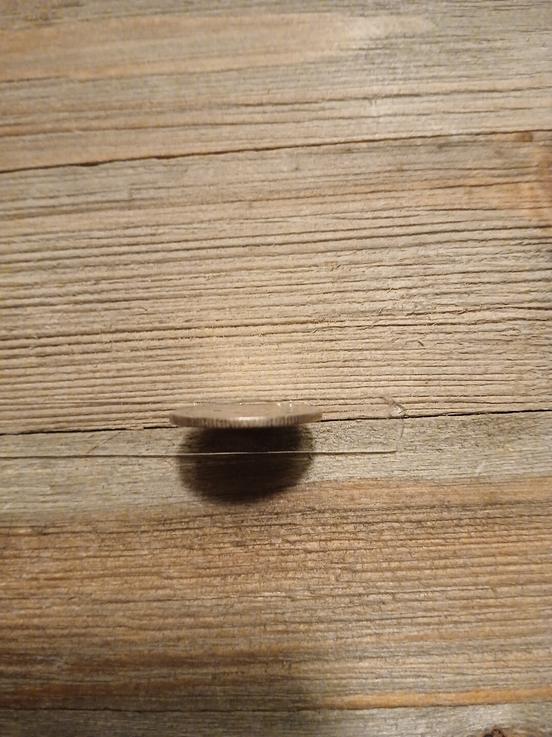 Picture 12 of 13