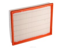 Air Filter A1755 Ryco For Volkswagen Crafter 30-50 2.5LTD CECA,BJL 2E Van TDI