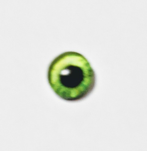 6mm glass cabachon eyes great for taxidermy, needle felting, toy making - 第 6/23 張圖片