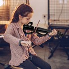 Professional Full Size 4/4 Bunnel Edge Electric Silent Violin w/ Case Bow Rosin